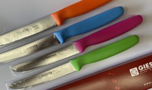 Universal Knife Set of 4 different coloured handles