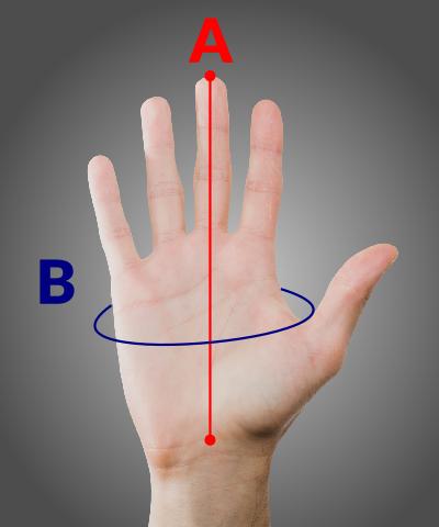 measuring hand palm