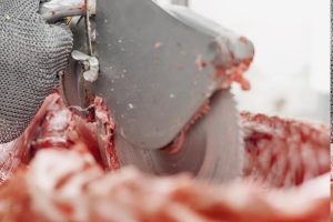 A Guide to Safe and Efficient Hog Splitting with the Electric Hog Splitting Saw