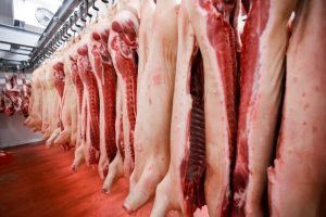 A Beginner’s Guide to Using Pneumatic Stunners in Meat Processing