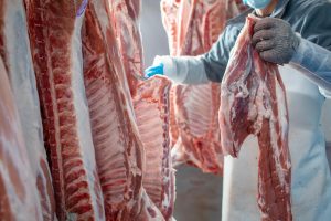 Top 5 Must-Have Meat Processing Equipment for Kiwi Butchers