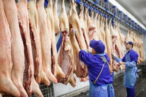 The Evolution of Freezing Works Equipment in New Zealand’s Meat Processing Sector