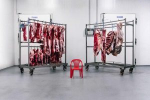 Setting Up a Boutique Freezing Works and Meat Freezing System in New Zealand