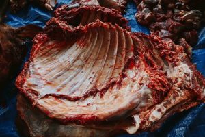Hot vs. Cold Water Carcass Cleaning: What’s Best for Meat Safety?