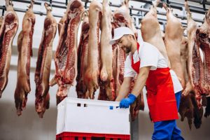 Modernising Freezing Works in New Zealand: Essential Equipment for Efficiency and Safety