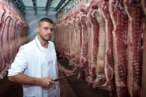 Butcher-Grade Steel Without the Hefty Price Tag – Giesser Knives Sale